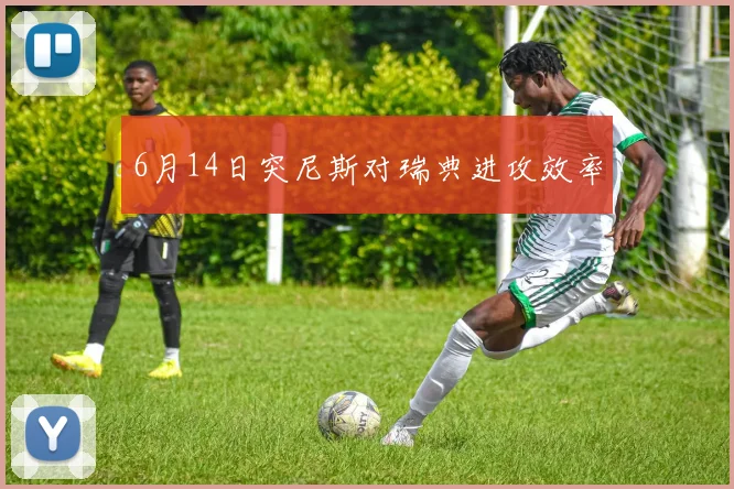 6月14日突尼斯对瑞典进攻效率