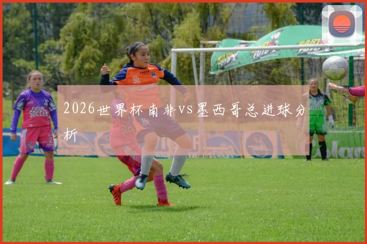 2026世界杯南非vs墨西哥总进球分析