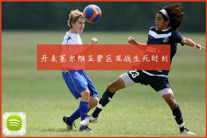 丹麦塞尔维亚禁区混战生死时刻